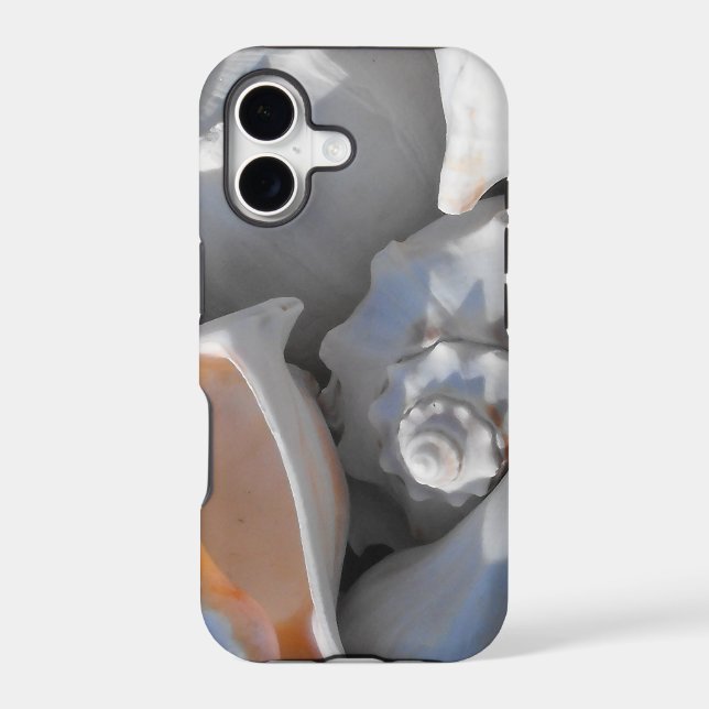 Conch Shells Closeup (Back)