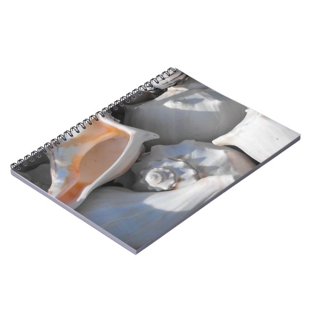 Conch Shells Closeup Spiral Notebook (Left Side)