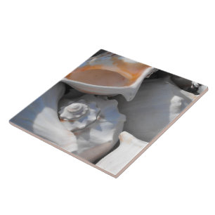 Conch Shells Closeup Tile