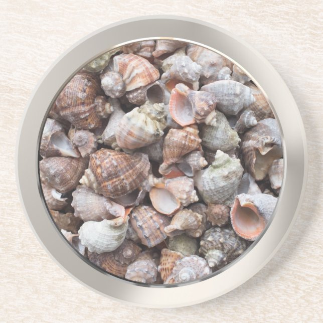 Conch shells coaster (Front)