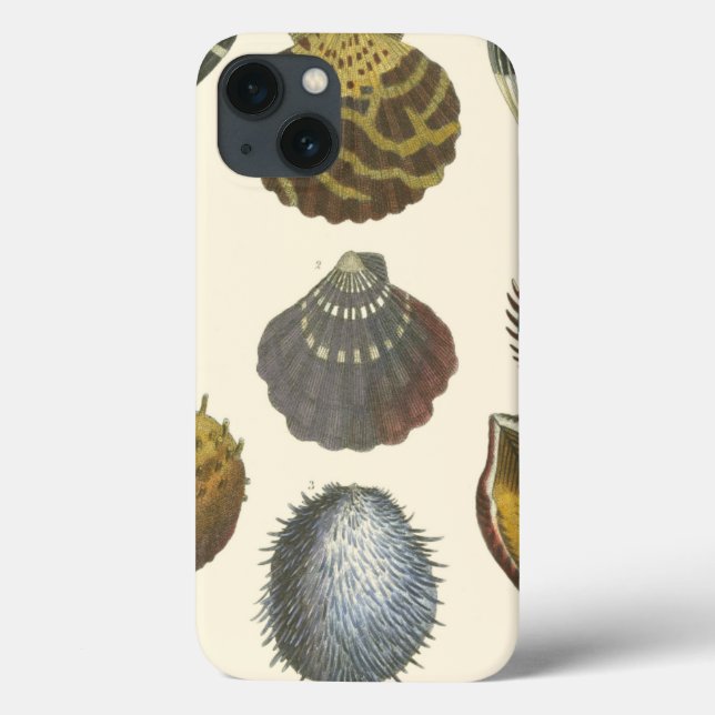 Conchology Collection Case-Mate iPhone Case (Back)