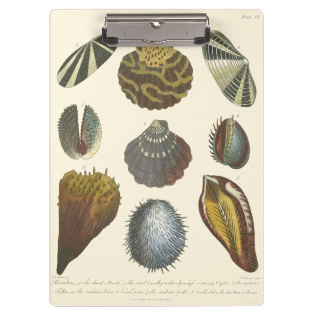 Conchology Collection Clipboard (Front)