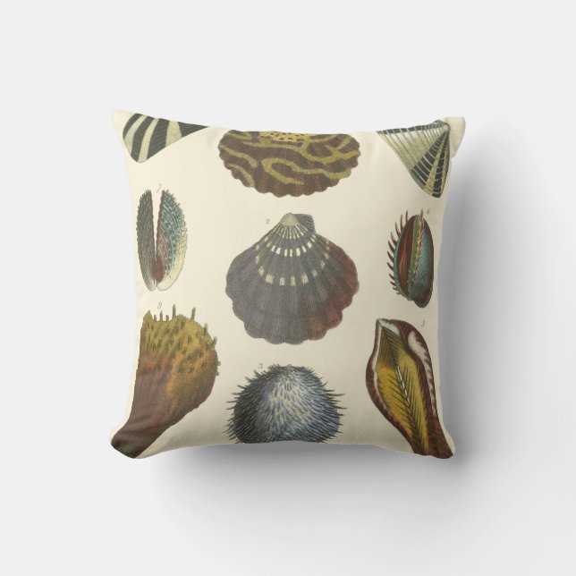 Conchology Collection Cushion (Front)