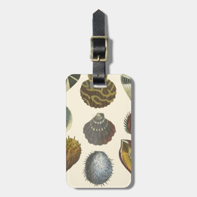 Conchology Collection Luggage Tag (Front Vertical)