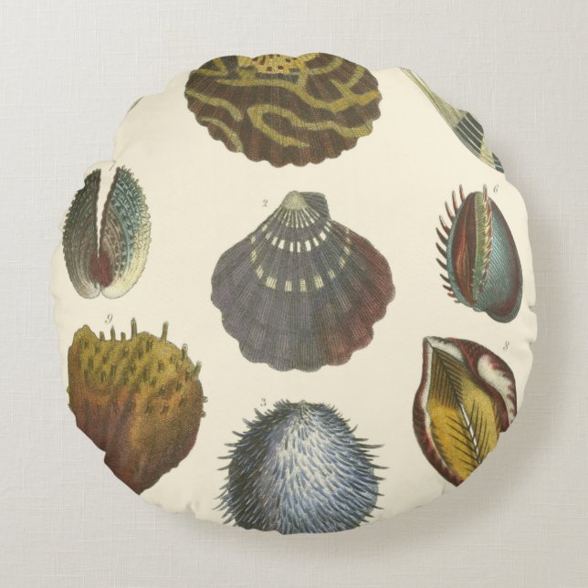 Conchology Collection Round Cushion (Front)