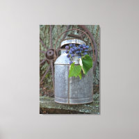 Concord grapes in antique can