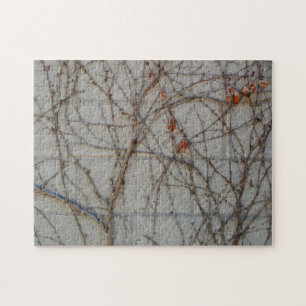 Concrete Block Wall With Vines Jigsaw Puzzle