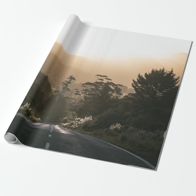 CONCRETE ROAD SURROUNDED BY TREES WRAPPING PAPER (Unrolled)