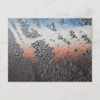 Condensed water drops