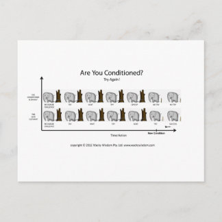 Conditioned Elephant Postcard