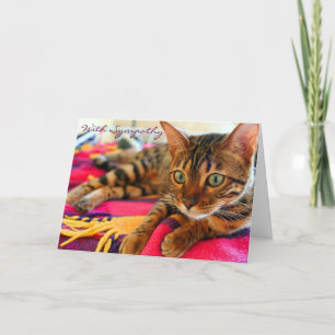 Condolences With Sympathy Beautiful Bengal Cat Card