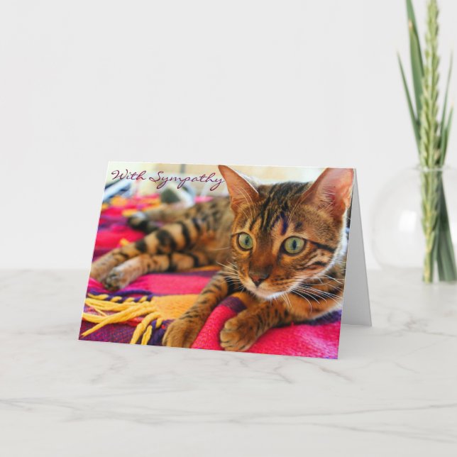 Condolences With Sympathy Beautiful Bengal Cat Card (Front)