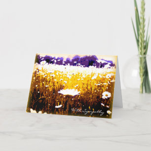 Condolences With Sympathy Beautiful Daisies Art Card