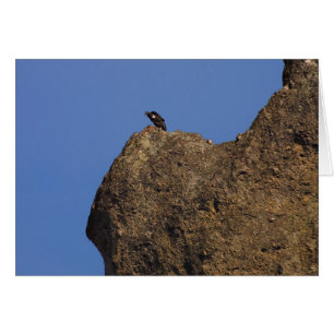 Condor #87