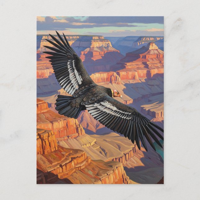 Condor at Grand Canyon National Park Postcard (Front)