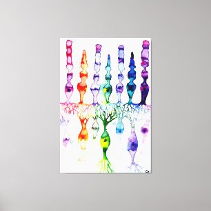 Cone cells rod cells and bipolar neurond of retina canvas print