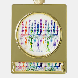 Cone cells rod cells and bipolar neurons of retina gold plated banner ornament