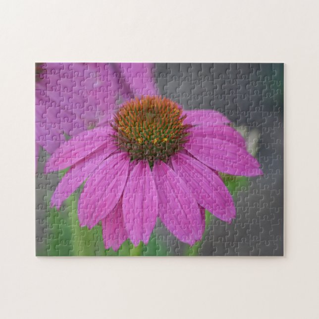 Cone Flower Puzzle (Horizontal)