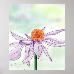 Cone Flower Watercolor Poster