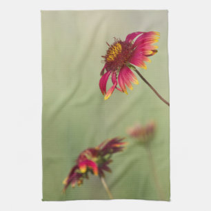 Cone Flowers beginning to bloom Tea Towel