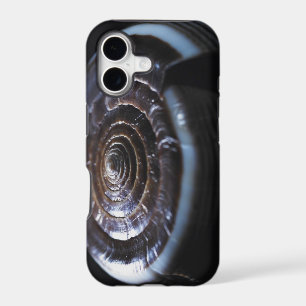 Cone shell