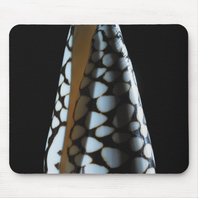 Cone shell 2 mouse pad (Front)