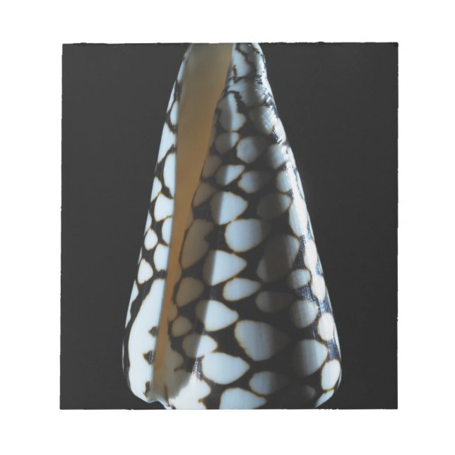Cone shell 2 notepad (Front)