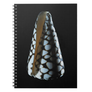 Cone shell 2 spiral notebook