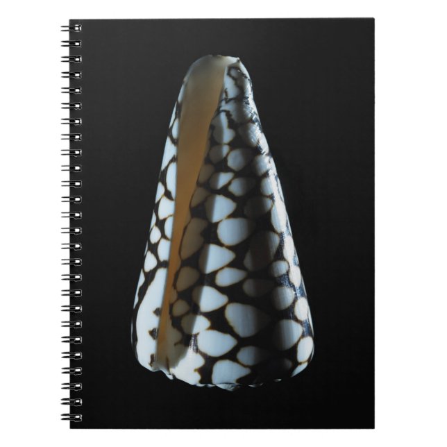 Cone shell 2 spiral notebook (Front)