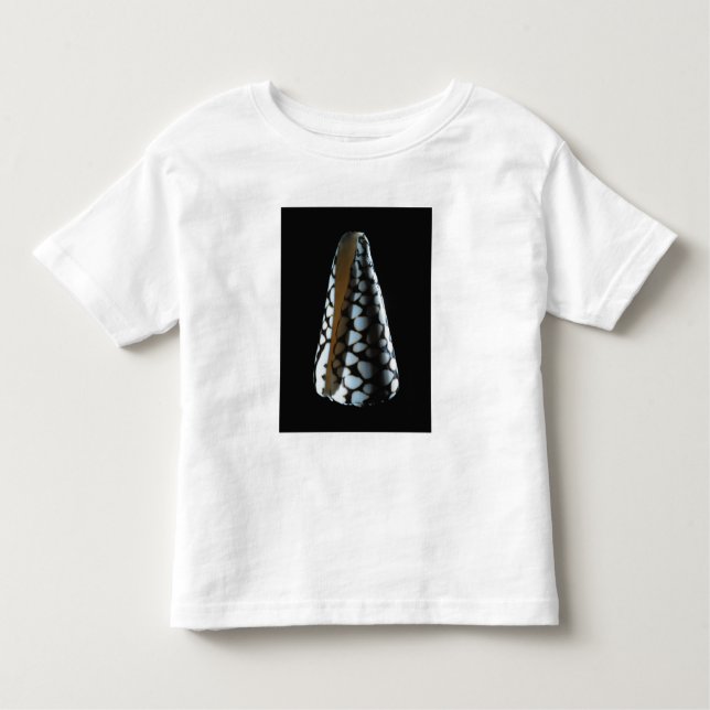 Cone shell 2 toddler T-Shirt (Front)