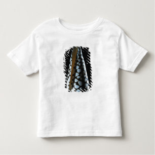 Cone shell 2 toddler T-Shirt