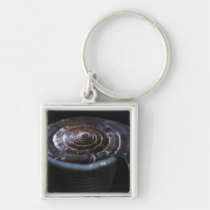 Cone shell key ring