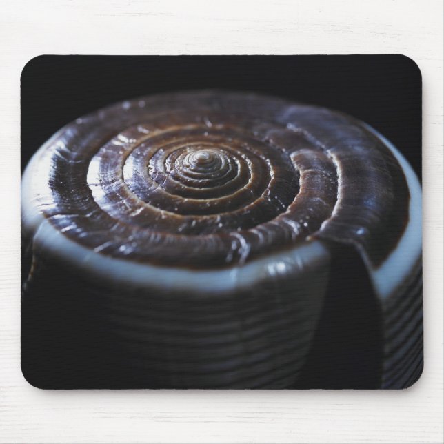 Cone shell mouse pad (Front)