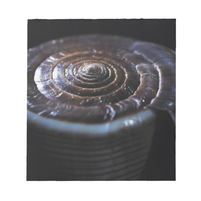 Cone shell notepad (Front)