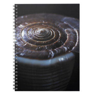 Cone shell spiral notebook