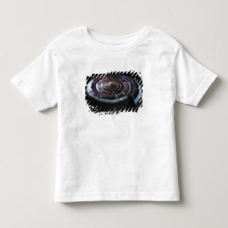 Cone shell toddler T-Shirt