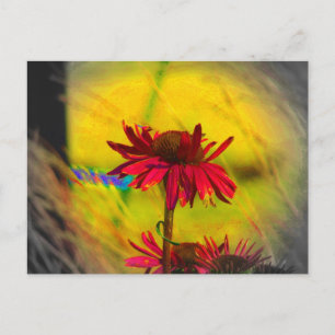 Coneflower Art #2 Postcard