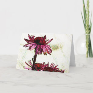 Coneflower Art Card