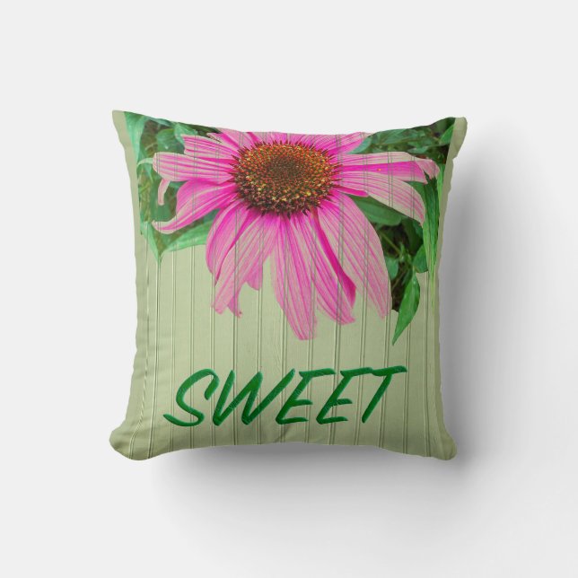 Coneflower by green garden wall SWEET word Cushion (Front)