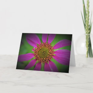 Coneflower, card
