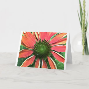 Coneflower, card