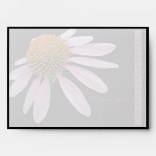 Coneflower Debut Congratulations Items Envelope
