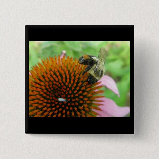 Coneflower & Eastern Carpenter Bee Items 15 Cm Square Badge (Front)