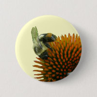 Coneflower & Eastern Carpenter Bee Items