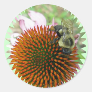 Coneflower & Eastern Carpenter Bee Items Classic Round Sticker