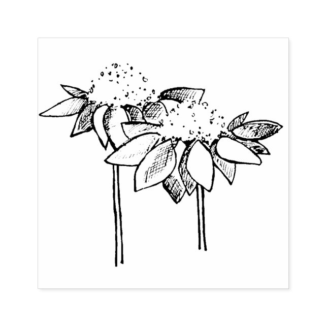 Coneflower Line Drawing Rubber Stamp (Imprint)