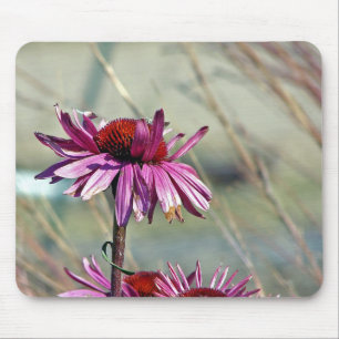 Coneflower Mouse Pad
