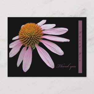 Coneflower Thank You Postcard