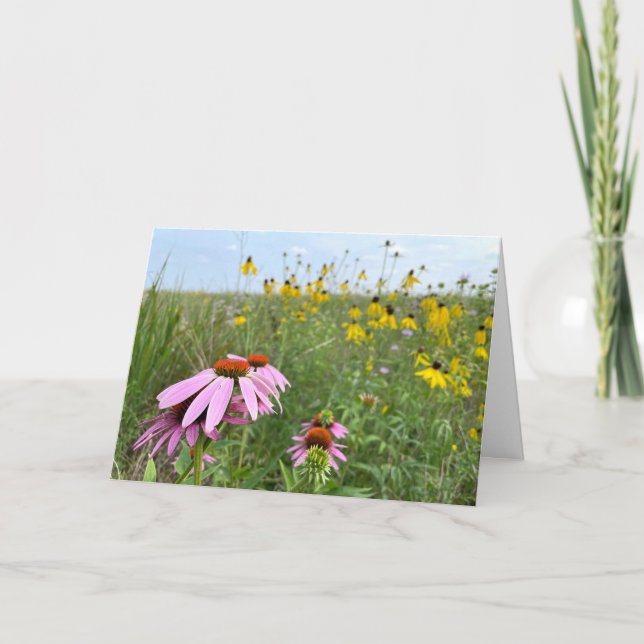 Coneflowers at Prairie Bluff Preserve Card (Front)