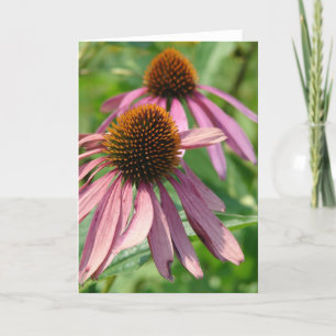 Coneflowers Card